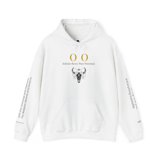 00 Infinite Reset Hoodie ✨