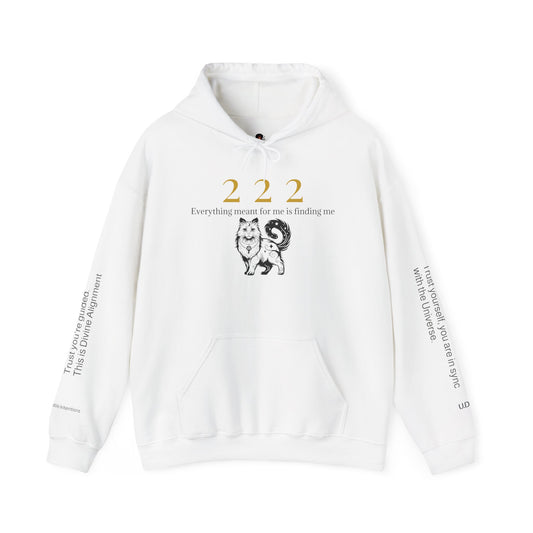 222 – Trust the Process Hoodie ✨