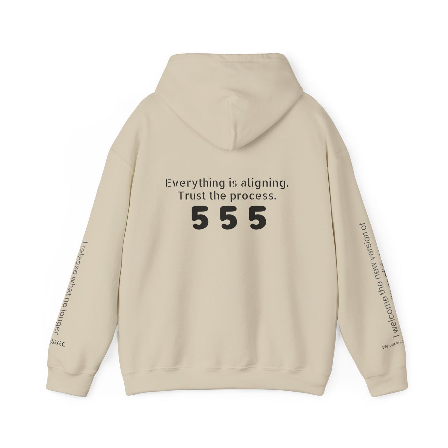 555 – Embrace Change Hoodie ✨