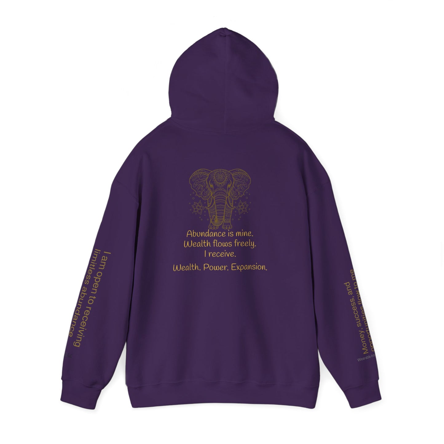 888 – Wealth & Abundance Hoodie ✨