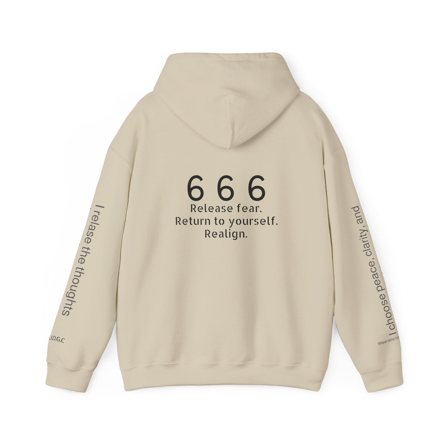 666 - Realignment & Inner Peace ✨ | Wearable Intention Sweatshirt | Spiritual Affirmation Hoodie