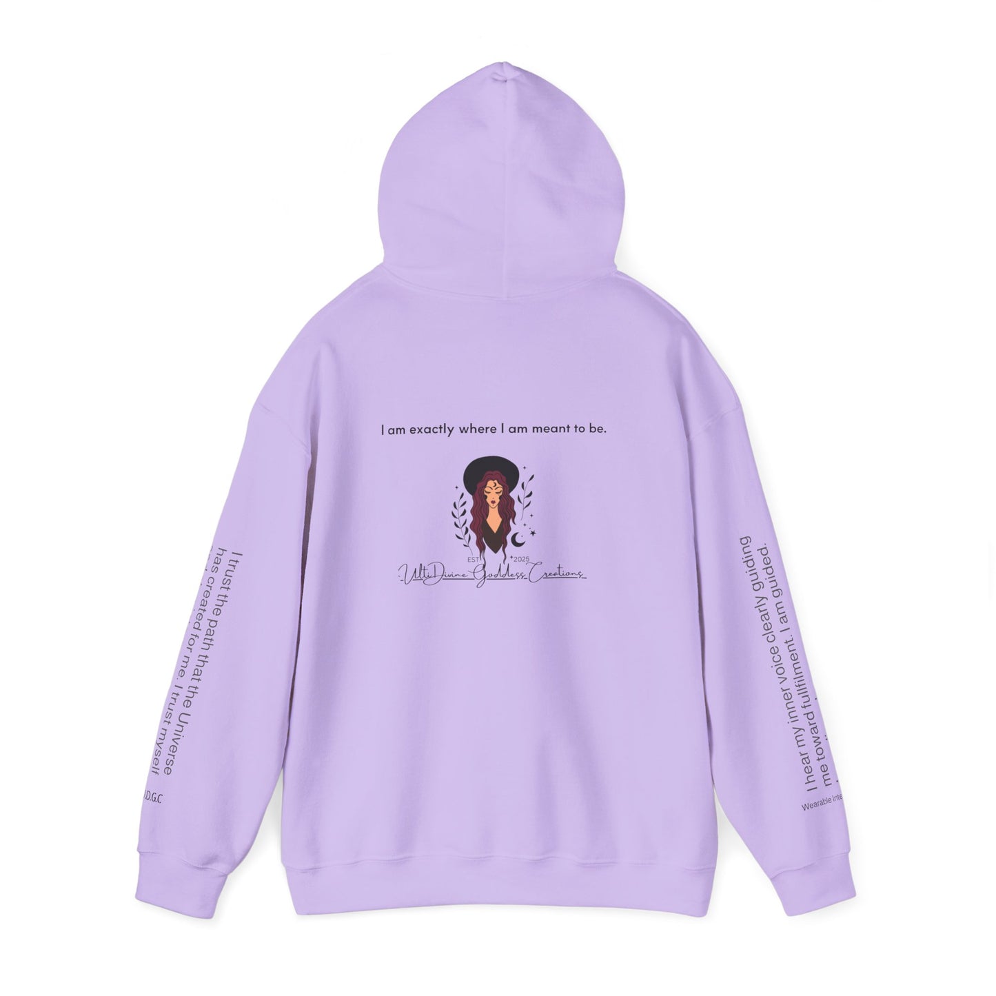 11 – Alignment & Awakening Hoodie ✨