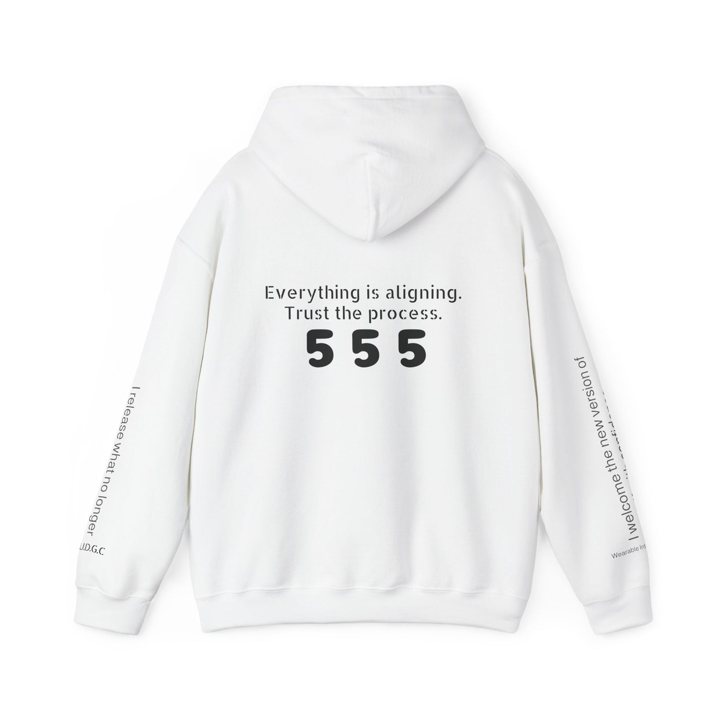555 – Embrace Change Hoodie ✨