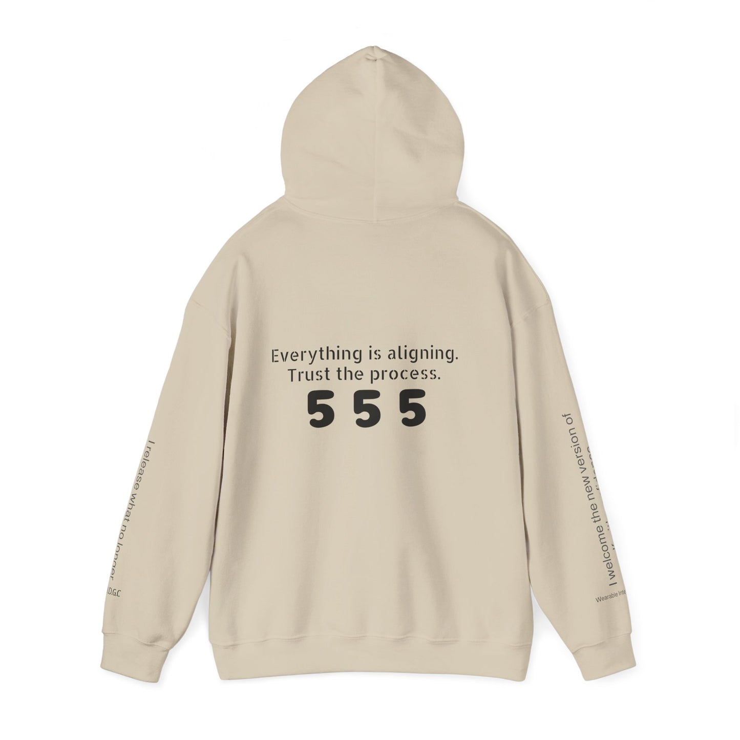 555 – Embrace Change Hoodie ✨