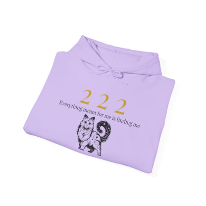 222 – Trust the Process Hoodie ✨