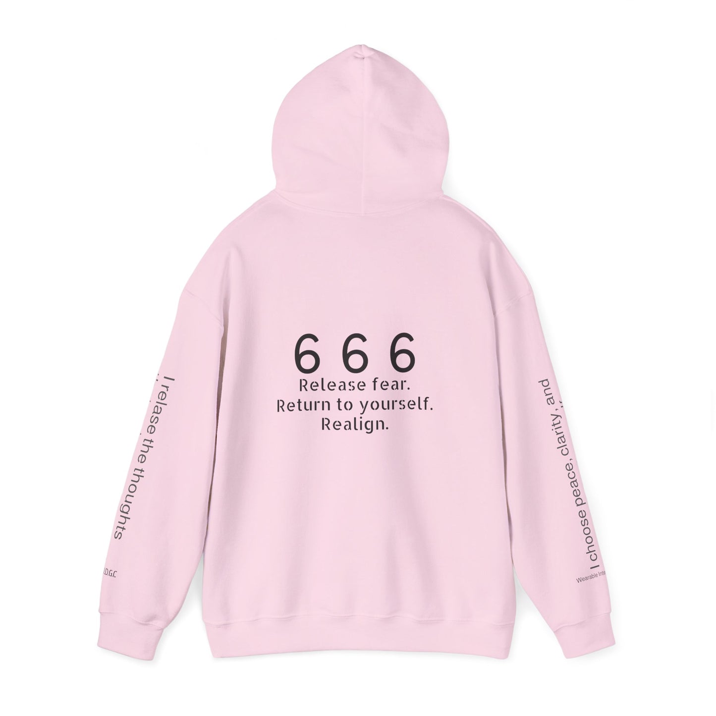 666 - Realignment & Inner Peace ✨ | Wearable Intention Sweatshirt | Spiritual Affirmation Hoodie