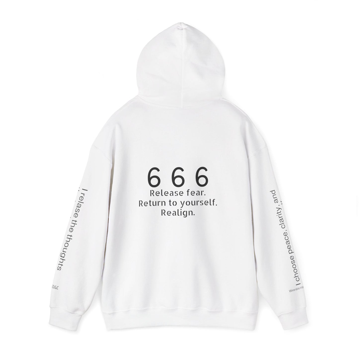 666 - Realignment & Inner Peace ✨ | Wearable Intention Sweatshirt | Spiritual Affirmation Hoodie