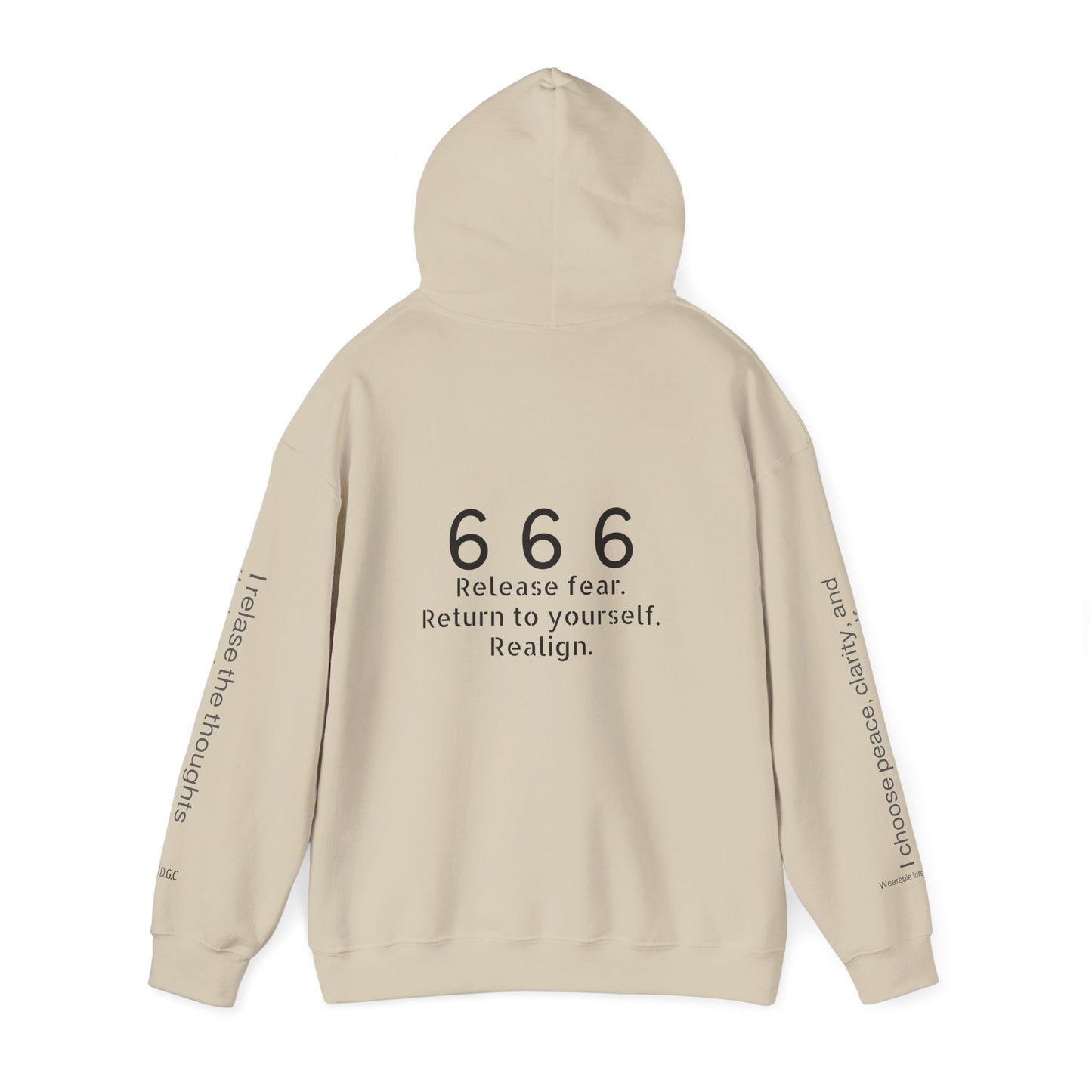 666 - Realignment & Inner Peace ✨ | Wearable Intention Sweatshirt | Spiritual Affirmation Hoodie