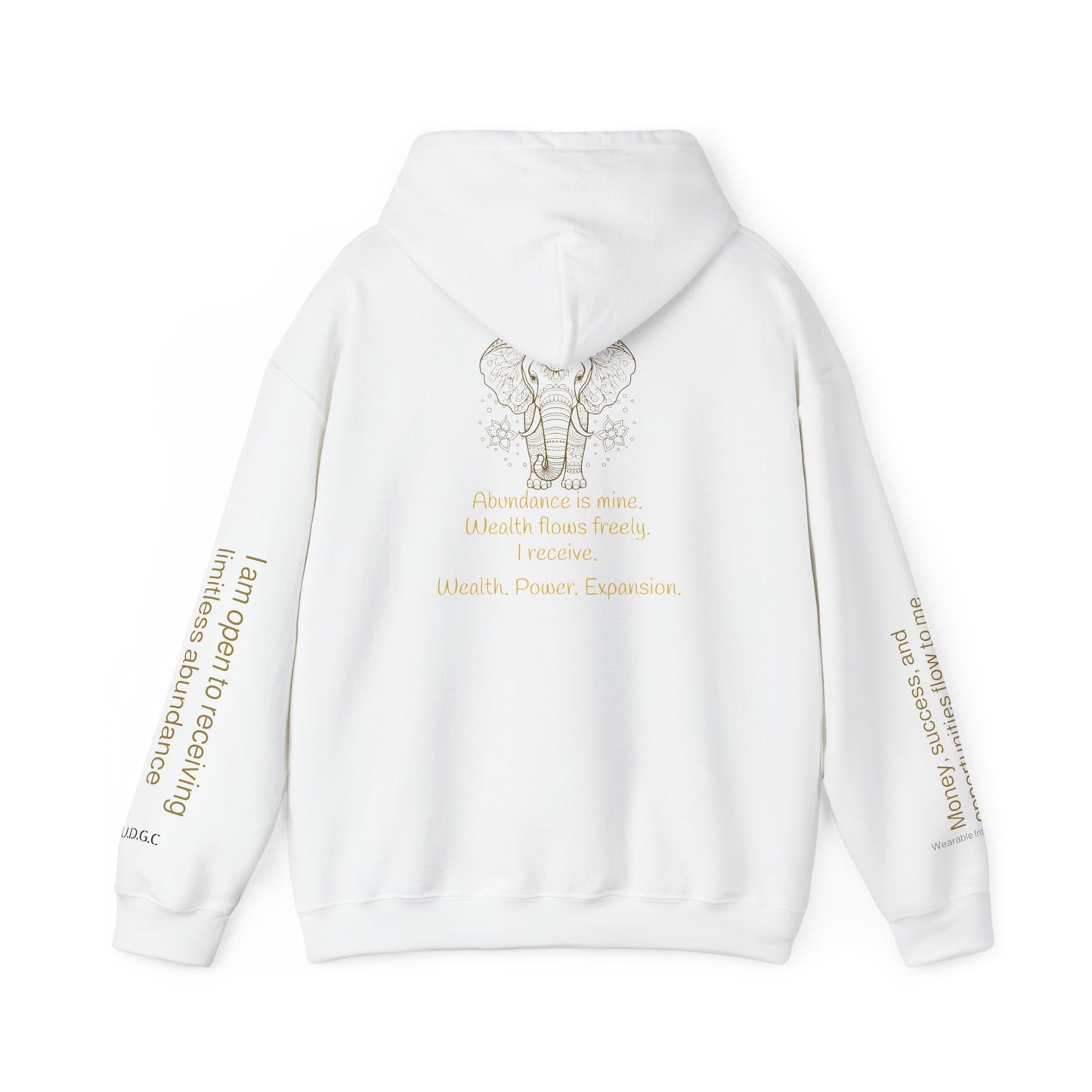 888 – Wealth & Abundance Hoodie ✨