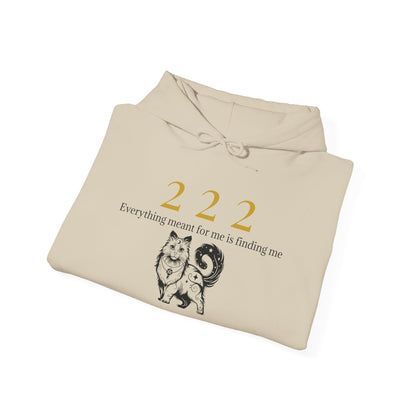 222 – Trust the Process Hoodie ✨