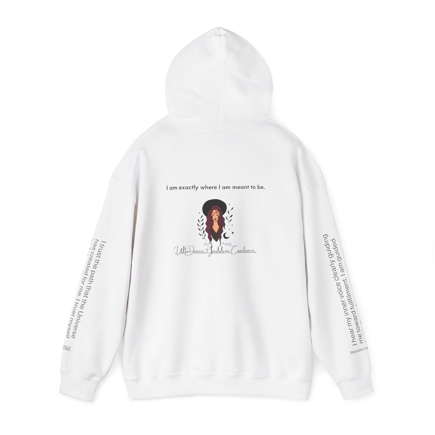 11 – Alignment & Awakening Hoodie ✨