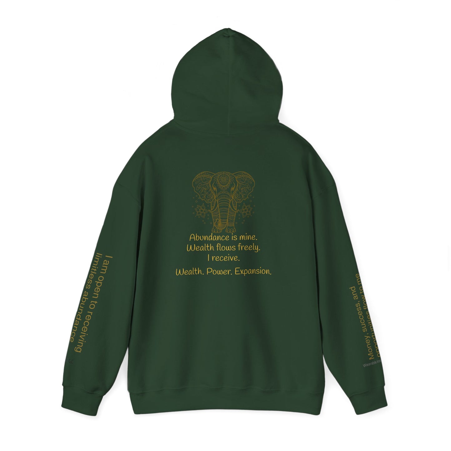 888 – Wealth & Abundance Hoodie ✨