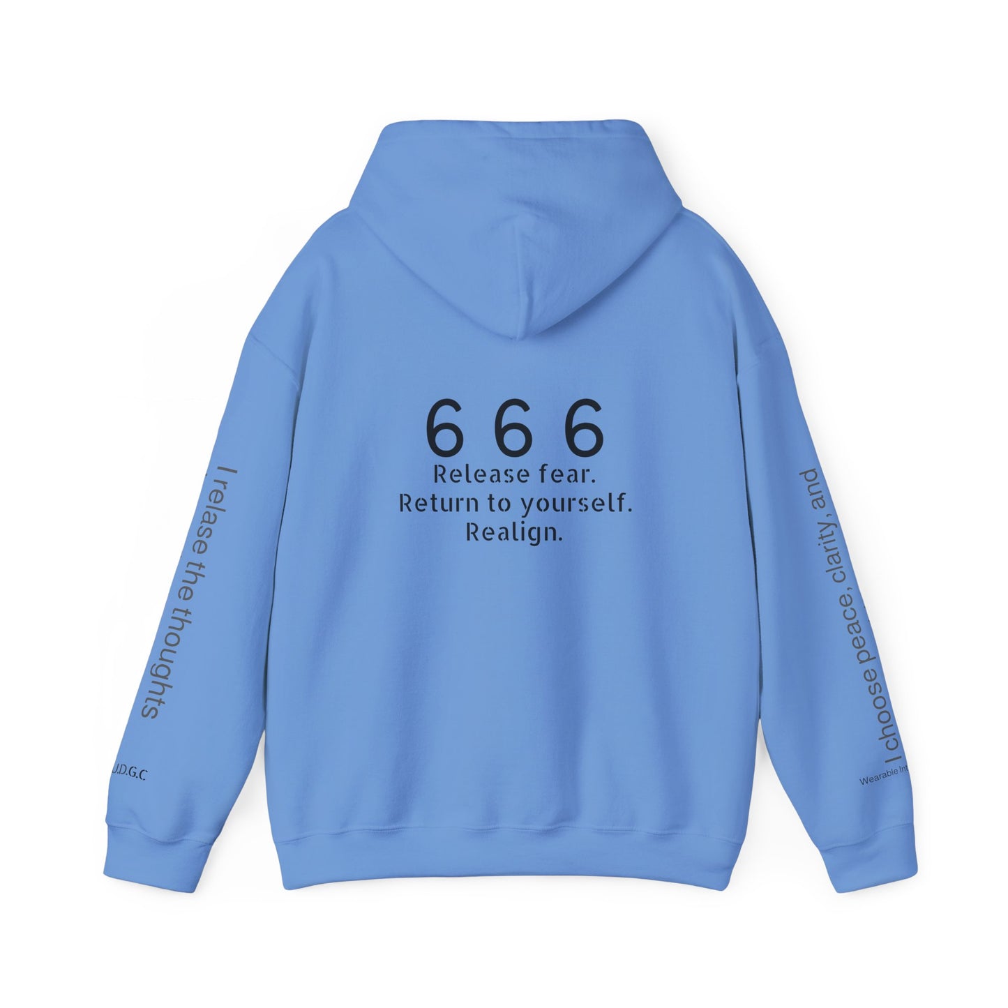 666 - Realignment & Inner Peace ✨ | Wearable Intention Sweatshirt | Spiritual Affirmation Hoodie