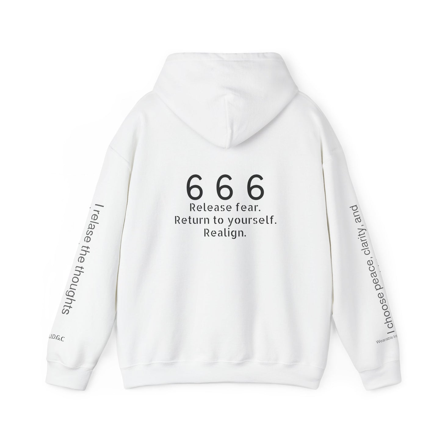 666 - Realignment & Inner Peace ✨ | Wearable Intention Sweatshirt | Spiritual Affirmation Hoodie