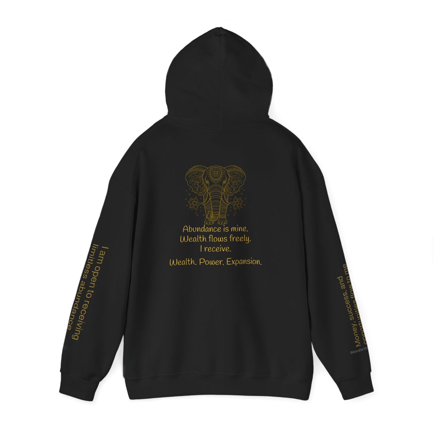 888 – Wealth & Abundance Hoodie ✨