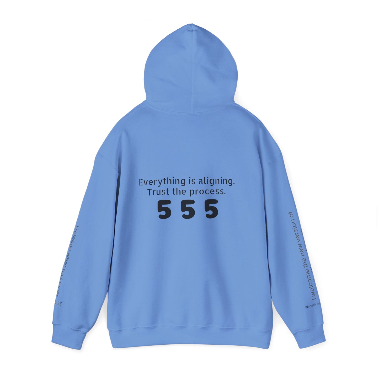 555 – Embrace Change Hoodie ✨