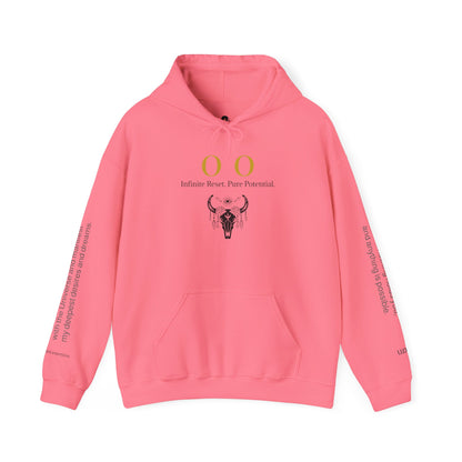 00 Infinite Reset Hoodie ✨