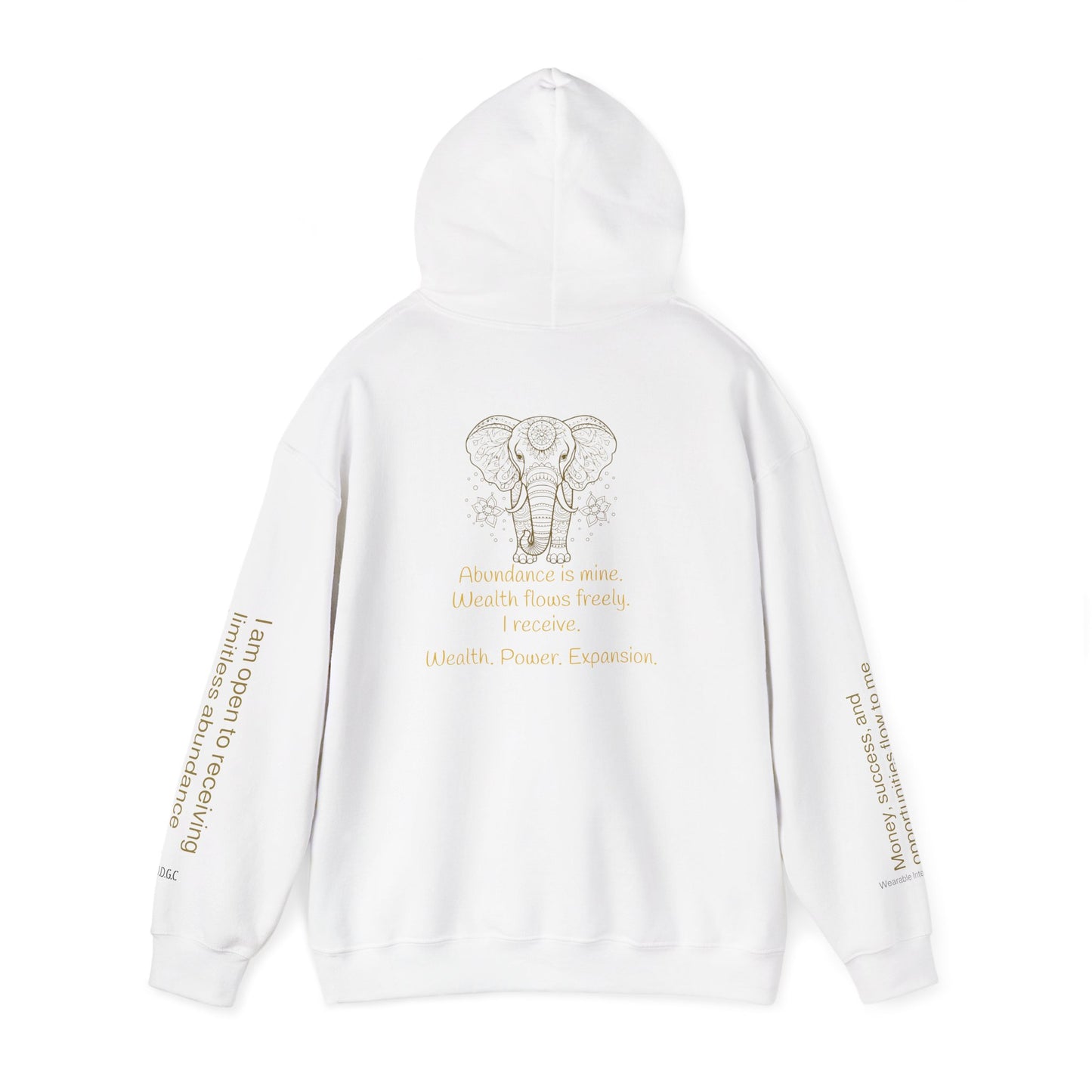 888 – Wealth & Abundance Hoodie ✨