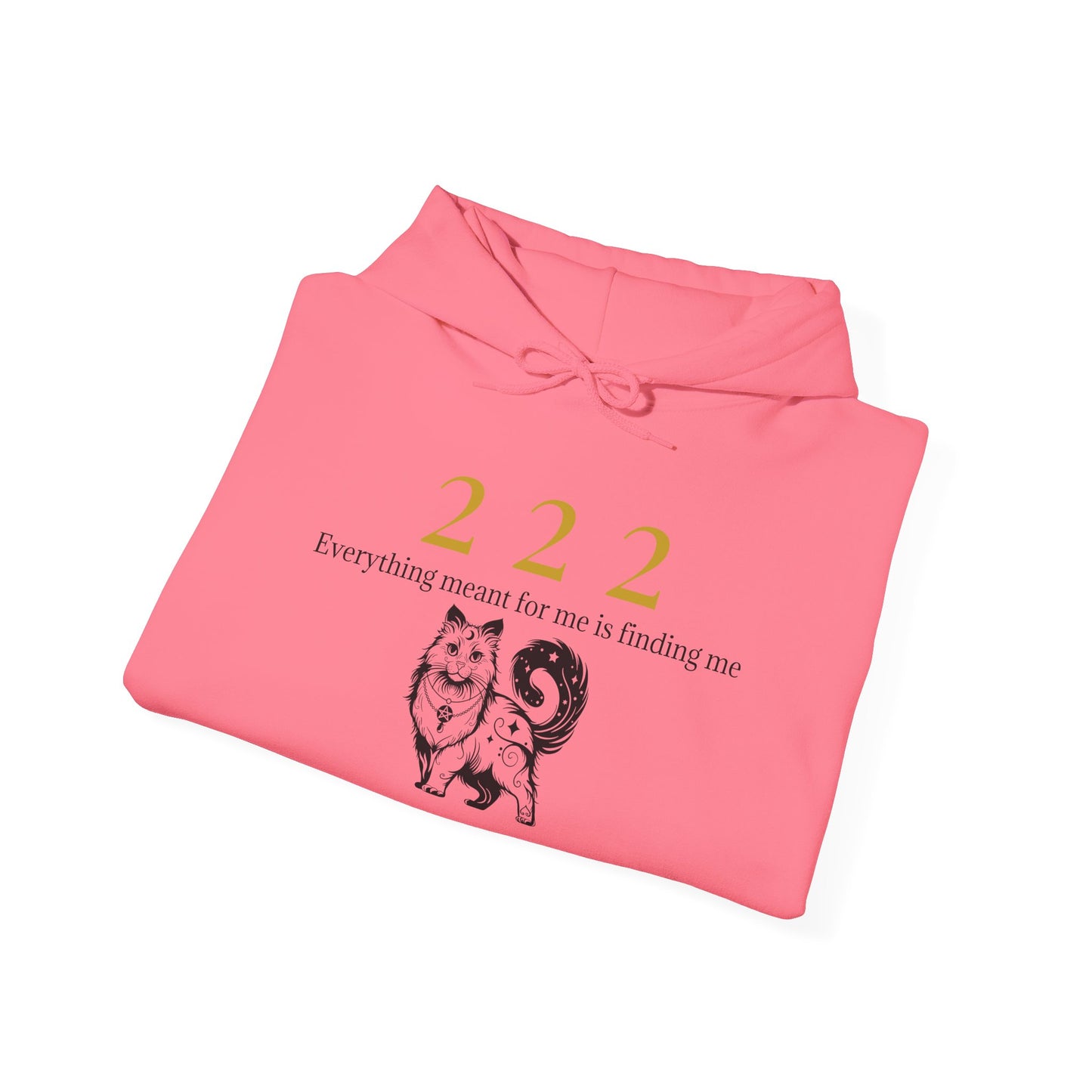 222 – Trust the Process Hoodie ✨