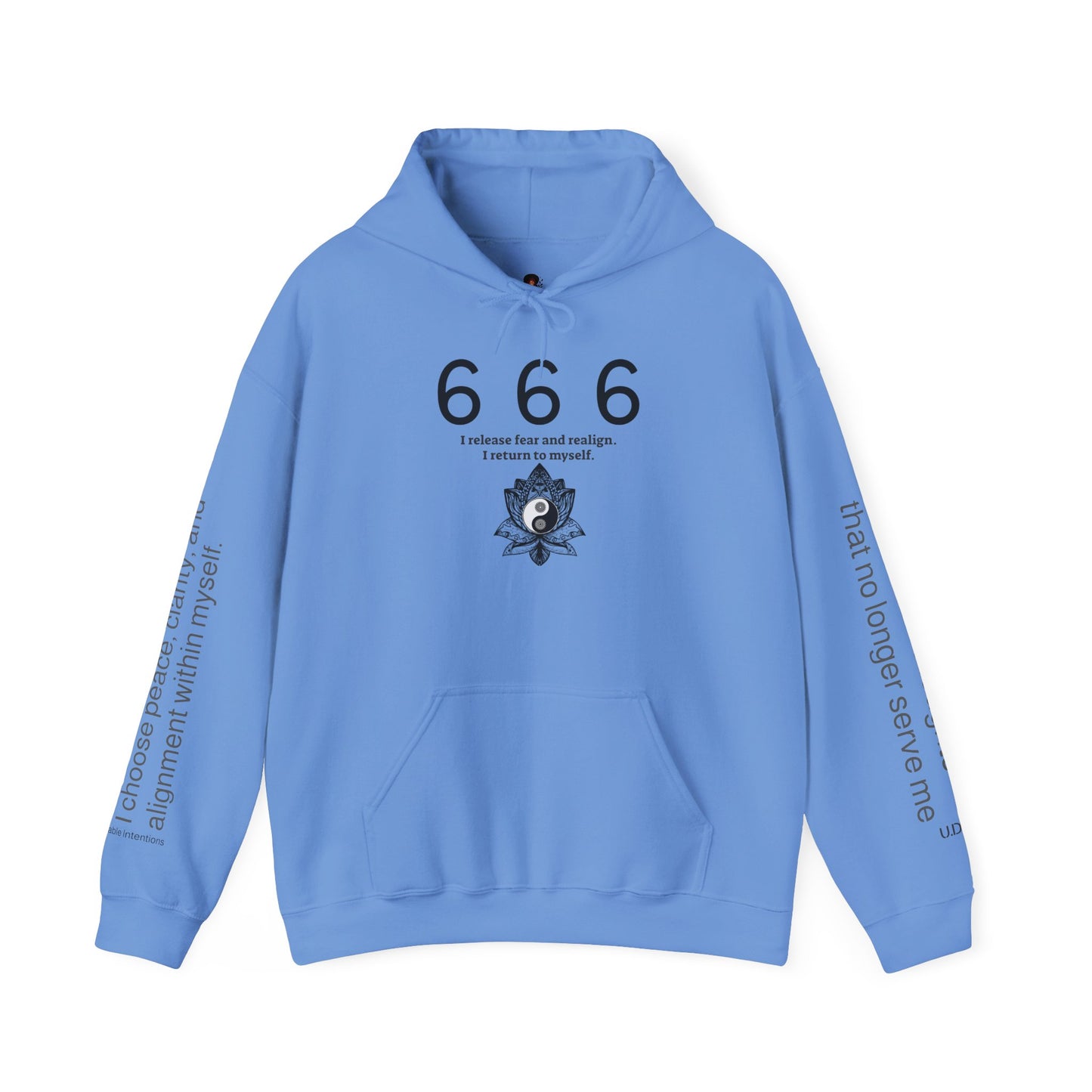 666 - Realignment & Inner Peace ✨ | Wearable Intention Sweatshirt | Spiritual Affirmation Hoodie